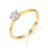 Diamanten Ring